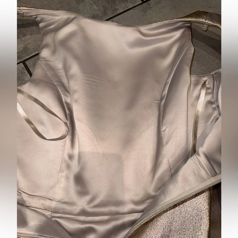 White House Black Market Champagne Glitter Cocktail Holiday NYE Dress Size 2 - Picture 3 of 15